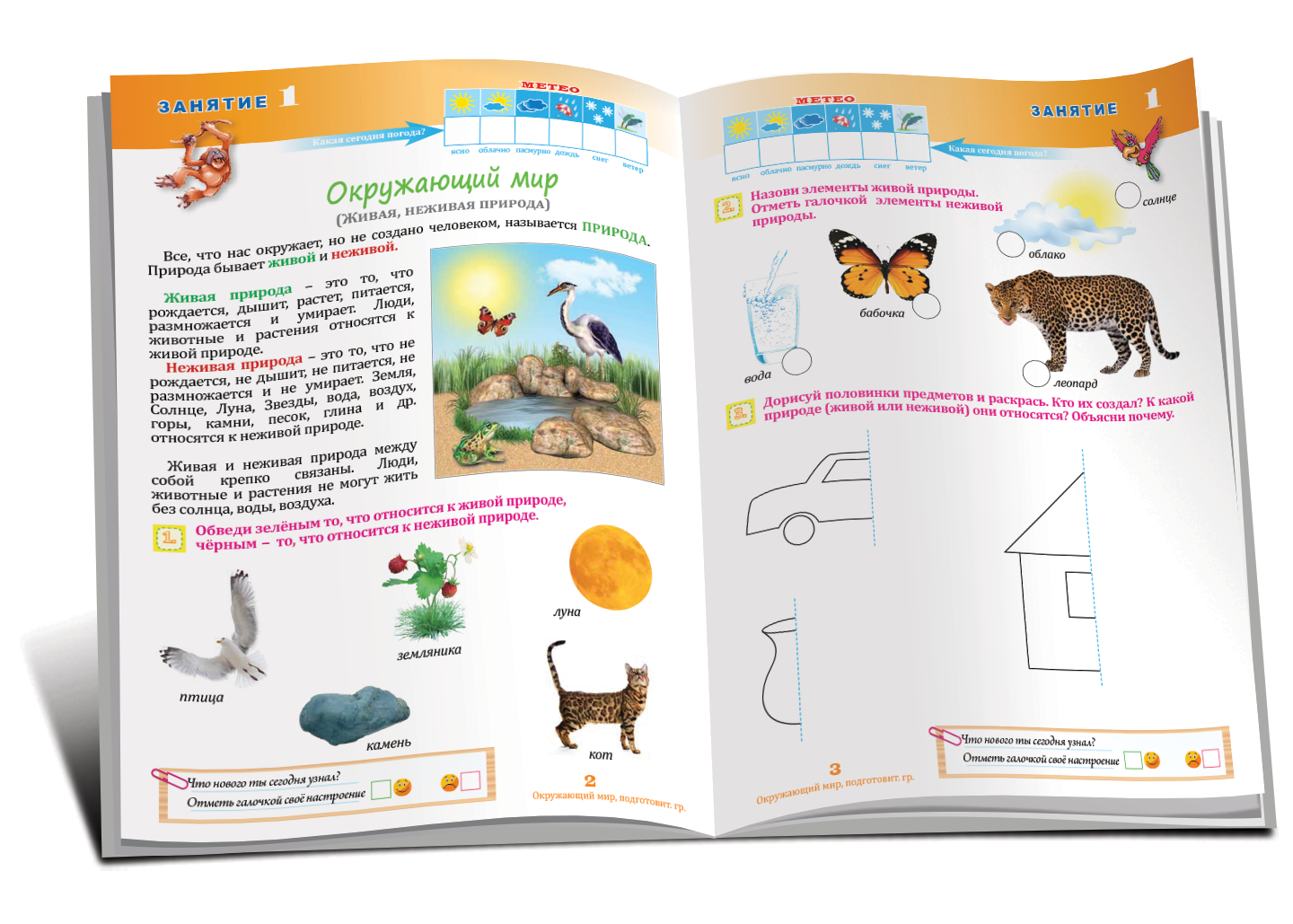 Окружающий мир 6+